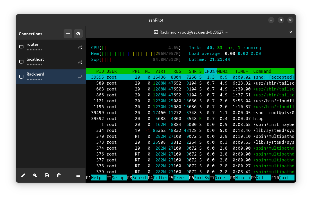 Terminal with htop